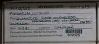 Image Associated With the Occurence